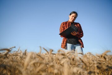 Woman farmer agronomist working in grain field and planning income of harvest. Female examining and checking quality control of produce wheat crop. Agriculture management and agribusiness