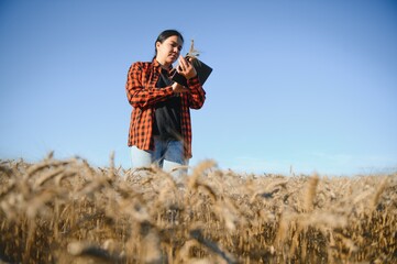 Woman farmer agronomist working in grain field and planning income of harvest. Female examining and checking quality control of produce wheat crop. Agriculture management and agribusiness