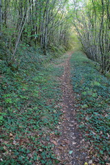 chemin &agrave; la campagne.