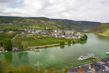Aerial view of the Moselle valley with vineyards - obrazy, fototapety, plakaty
