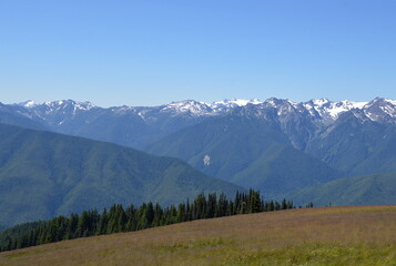 Obraz premium Panorama Mountain Landscape at Hurricane Ridge in Olympic National Park, Washington