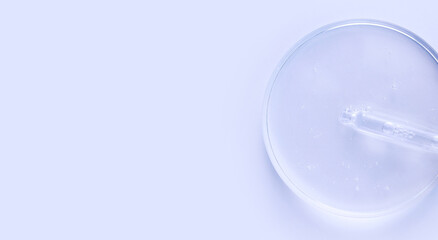 banner glass pipette serum gel in petri dish on a light background with place for text