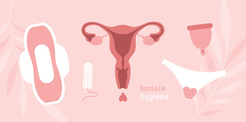 female hygiene products women uterus sanitary napkin tampon