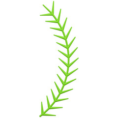 Double curved branch of green spruce. Realistic sprig with small needles winter decor