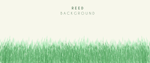 Sea reed vector background design, wild reed in the beach, beach with reed. Perfect for background, wallpaper, typography, illustration, creative design asset or template. - obrazy, fototapety, plakaty