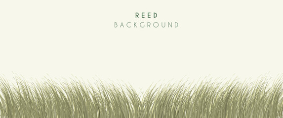 Sea reed vector background design, wild reed in the beach, beach with reed. Perfect for background, wallpaper, typography, illustration, creative design asset or template.