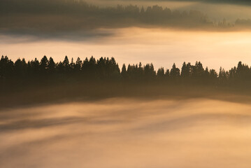 Obraz premium 星峠の棚田の雲海