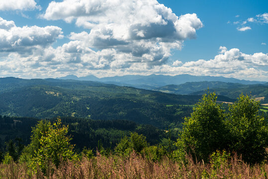 View to Mala Fatra mountains form forest glade below Javorske hill summit in Kysucke Beskydy mountains in Slovakia