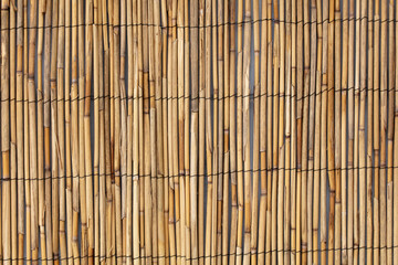Reed fence wall as abstract background.