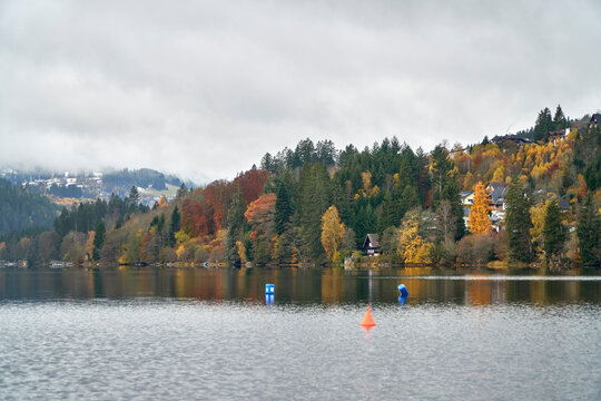 Autumn is coming