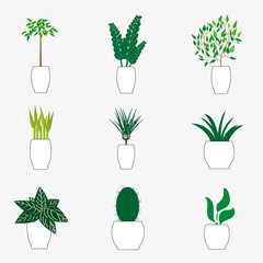 Fototapeta na wymiar Potted plants set. Interior houseplants. Home indoor green decor. Flat graphic vector illustrations