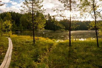 forest, water, lake, green grass, blue sky