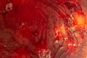 Red compote with mold in a saucepan, background with streaks and bubbles