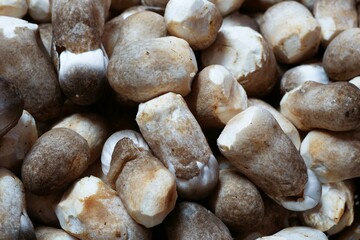 Straw mushrooms stacked together for sale in the market.