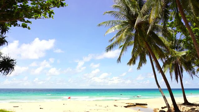 Coconut palm beach. Sea sky clouds. Beach sea. Palm trees beach.