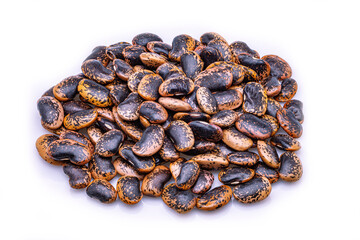 large patterned bean