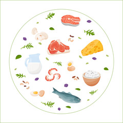 Set of healthy food macronutrients. Proteins presented by food products. Cottage cheese, meat, fish steak, shrimp, mushrooms, eggs. Vector illustration of nutrition categories. Balanced nutrition