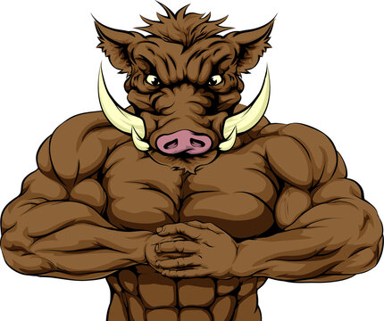 muscular brown boar with crossed arms clip art preview