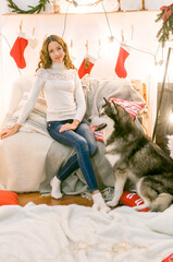 A cute teenage girl with long dark curly hair in a white  pullover  in a room with a  Christmas decor with a large Malamute. Christmas mood. pets