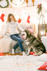 A cute teenage girl with long dark curly hair in a white  pullover  in a room with a  Christmas decor with a large Malamute. Christmas mood. pets