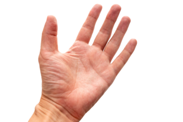 開いた状態で差し出した左手