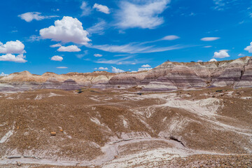 Fototapeta na wymiar Panoramic view of the landscapes in the Petrified Forest National Park, Arizona, USA