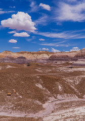 Vertical shot of the badlands landscapes in the Petrified Forest National Park, Arizona, USA