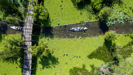 Tra Su Cajuput Forest Stream