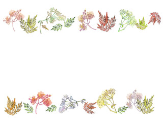 Watercolor border with wild flowers. With transparent layer.