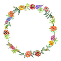 Watercolor wreath with marigolds and lupin. With transparent layer.