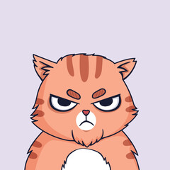 Angry cat. Grumpy red cat frowns and looks.
