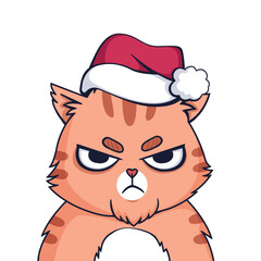 Angry cat in christmas cap. Grumpy red cat frowns and looks.
