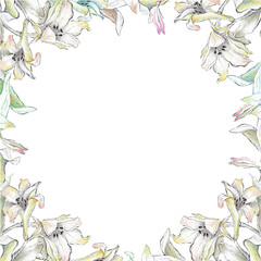 Fototapeta premium Watercolor frame with wild flowers. With transparent layer.