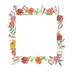 Watercolor frame with marigolds and tulip. With transparent layer.