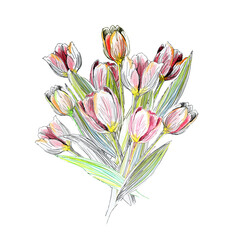  Watercolor card with tulips flowers. With transparent layer