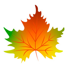 Autumn leaf