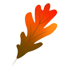 Autumn leaf