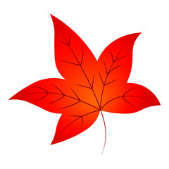 Autumn leaf