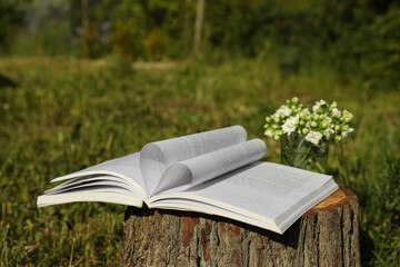 Open book and flowers on tree stump outdoors