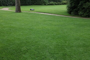 Obraz premium Beautiful freshly cut green lawn in park