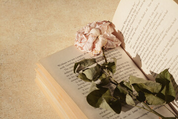 Book with beautiful dried flower on light table, closeup