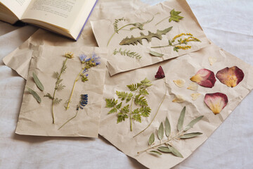 Sheets of paper with dried flowers and leaves on white fabric