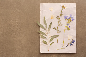 Sheet of paper with dried flowers and leaves on grey background, top view. Space for text