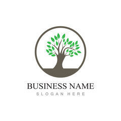 Obraz premium tree logo design with template vector concept