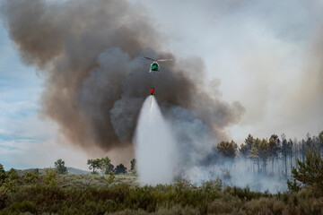 Helicóptero a descarregar água sobre um incêndio florestal que arde num pinheiral deixando uma...