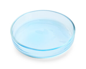 Petri dish with light blue liquid isolated on white