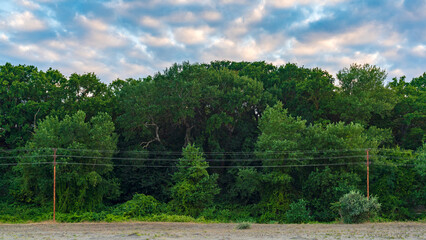 Power lines along the edge of the forest