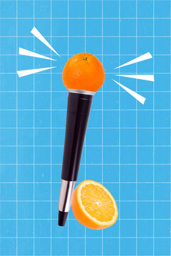 Collage photo of microphone loudspeaker abstract creative orange slices music visual effect isolated on plaid blue color background