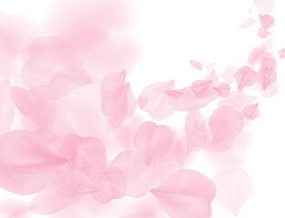 Sakura petal flying png overlay on transparent background. Pink flower petals wave illustration. 3D romantic valentines day spring tender light backdrop. Overlay tenderness romance design - 530274920