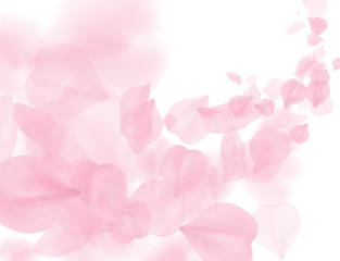 Fotobehang Sakura petal flying png overlay on transparent background. Pink flower petals wave illustration. 3D romantic valentines day spring tender light backdrop. Overlay tenderness romance design © iaroslavka